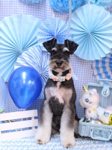 20231118ココくん